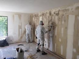 Best Mold Remediation for Healthcare Facilities  in Maple Park, IL